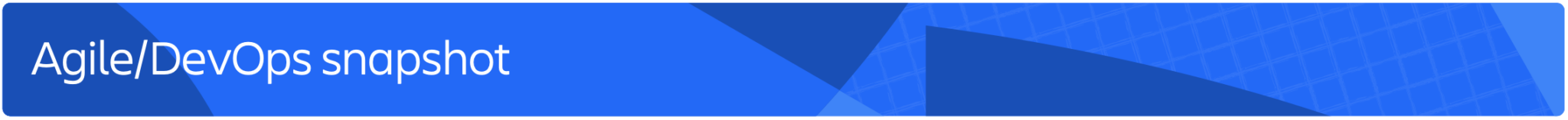 Agile:DevOps snapshot